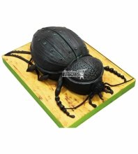 3D торт жук
