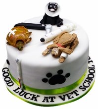 Торт ветеринару