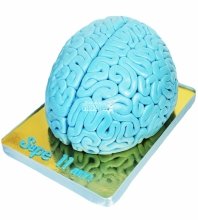 3D торт мозг
