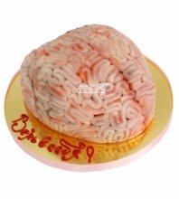 3D торт мозг