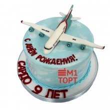 Торт самолет