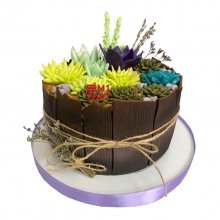 Торт на день рождения