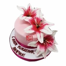 Торт на день рождения