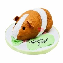 Торт морская свинка 3D