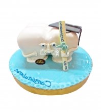 3D Торт врачу стоматологу