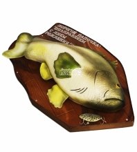 3D торт рыба