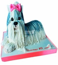 3D торт собака